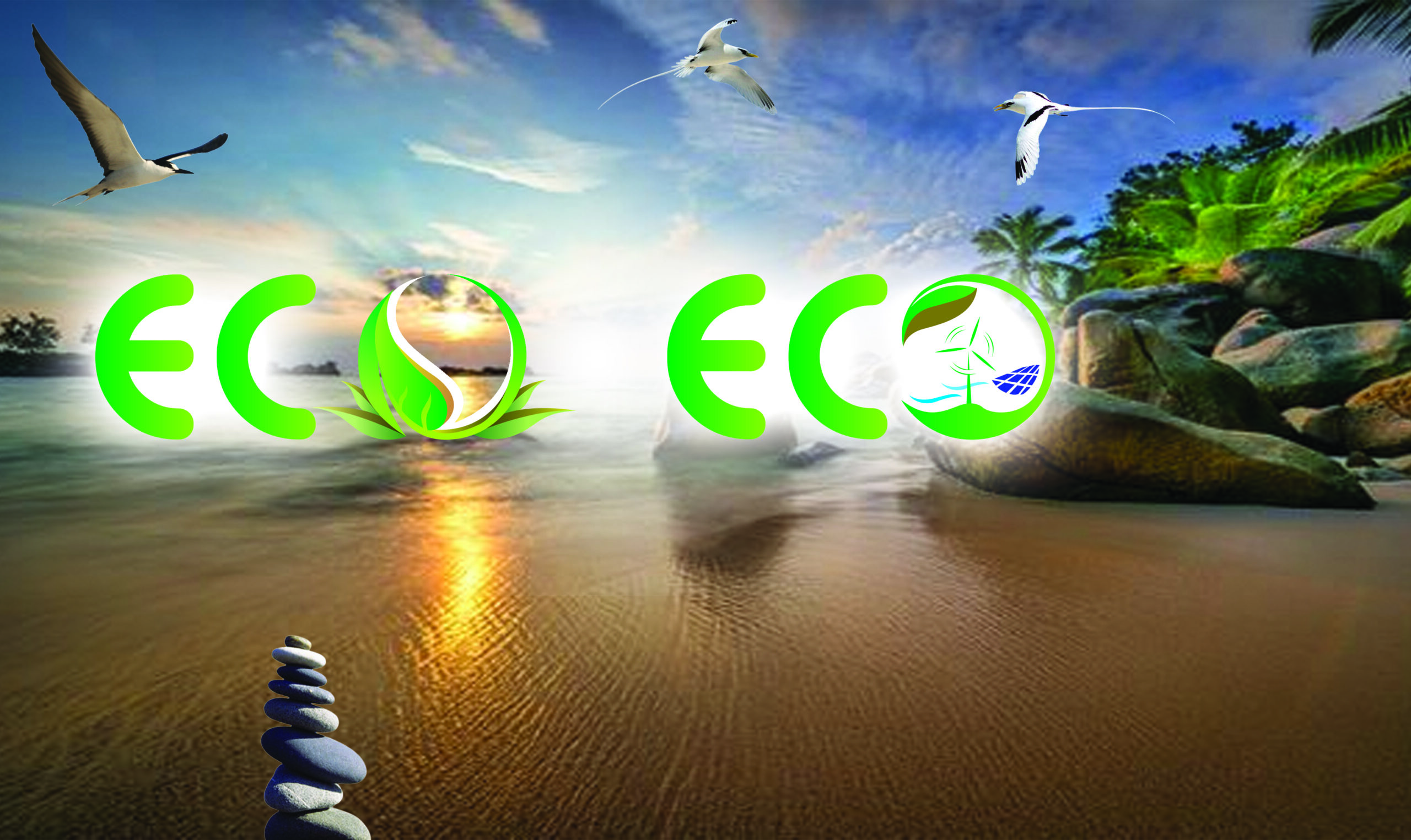 Eco Eco